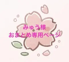 みゅう様 リクエスト 2点 まとめ商品