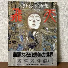 2025年最新】天野喜孝 飛天の人気アイテム - メルカリ