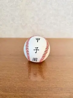 2026年最新】甲子園 ボールの人気アイテム - メルカリ
