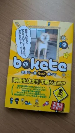 bokete : 写真で一言もっとボケて : 今度も笑い死に注意!!