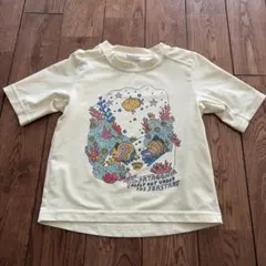 patagonia Capilene Silkweight Tシャツ 3T