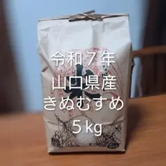 令和7年 和歌山産 きぬむすめ 玄米4.0kg - メルカリ