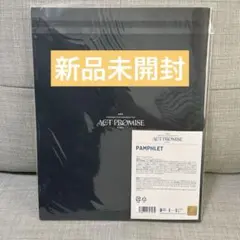 TXT ACT PROMISE パンフレット
