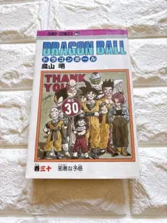 DRAGON BALL 30巻 初版 邪悪な予感 鳥山明 - メルカリ