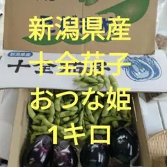 新潟県産　おつな姫、十全茄子詰め合わせ　枝豆、茄子のサムネイル