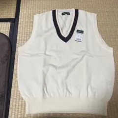 VARSITYMNTE ニットベスト