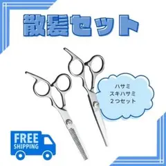 NETWORK セニングシザー 専用ケース付き 2025年最新】セニングシザー 15%の人気アイテム - メルカリ