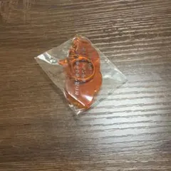 SHISHAMO アクリルキーホルダー 歌詞デザイン