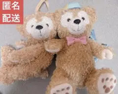 ダッフィー ポーチ ポシェット ぬいぐるみ ハートウォーミング ディズニーシー