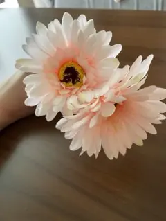 rina様専用ページ