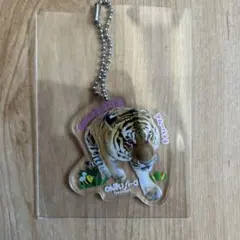 のんほいパーク アムールトラ アクリルキーホルダー