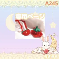 A245【ぴ様】はむにぎりサイズ ぬい服 オーダー 苺帽子とポシェットのセット