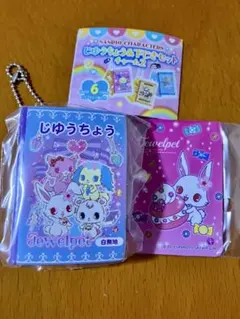 サンリオキャラクターズ じゆうちょう＆下じきセットチャーム2 ジュエルペット