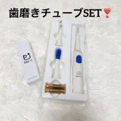 新品✨犬猫用　電動歯ブラシ　収納ポーチ付　PAL&I ペット用歯磨き30gセット