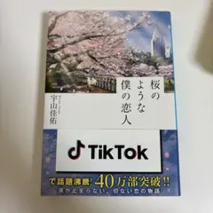 桜のような僕の恋人 宇山佳祐