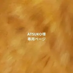 Atsuko様専用ページ