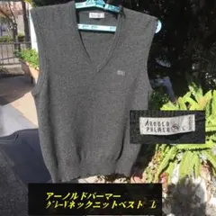 ARNOLD PALMER Vネックニットベスト グレー L