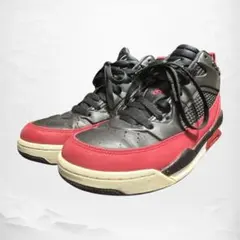 ✨️レア✨️NIKE air Jordan flight 24cm 赤×黒