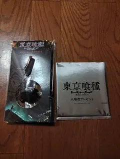 Item thumbnail for item 84e05668-de53-4fed-a349-238a8f313e53