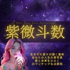 二月末まで300円【魂の設計図】紫微斗数で知るあなたの本質