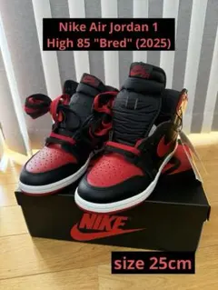 Nike Air Jordan 1 High 85 