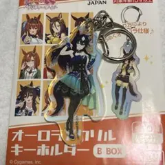 ウマ娘 オーロラアクリルキーホルダー ヴィルシーナ