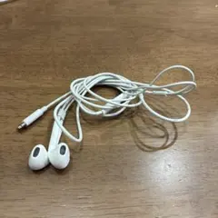 Apple Lightning イヤホン 純正 EarPods iPhone