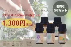 天然エッセンシャルオイル 5ml×5点セット アロマ用精油 人気セット