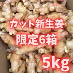 2026年最新】新生姜訳ありの人気アイテム - メルカリ