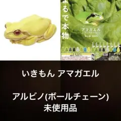 いきもん ネイチャーテクニカラー アマガエル ガチャ アルビノ