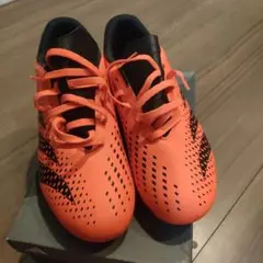 Item thumbnail for item 381262e8-b27f-4131-ba62-d2d82efc379f