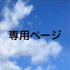 専用ページ