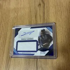 JUNIOR CAMINERO オート