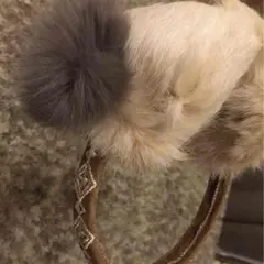 アナザーエディションの耳当て