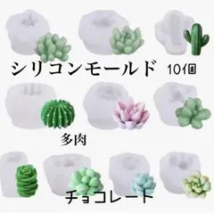 カラフルな五月人形セット(樹脂粘土) レジンコーティング - メルカリ