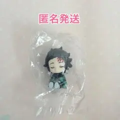 鬼滅の刃 ねむらせ隊３ 竈門炭治郎