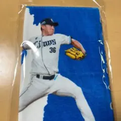 西武ライオンズ山田陽翔選手甲子園タオル 甲子園タオル 山田陽翔 高校野球 - メルカリ