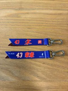東北楽天ゴールデンイーグルス #43宋家豪選手 ボンフィン2点セット