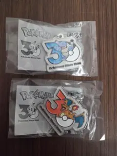 ポケモン30周年 メタルチャームマスコット カメックス＆リザードン