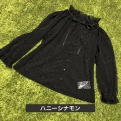 ハニーシナモン　ドット柄シアーシャツ　シースルー黒　ブラック