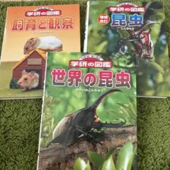 学研の図鑑セット 飼育と観察 昆虫 世界の昆虫