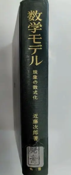 数学モデル 現象の数式化 近藤次郎著 数学専門書 廃棄印あり