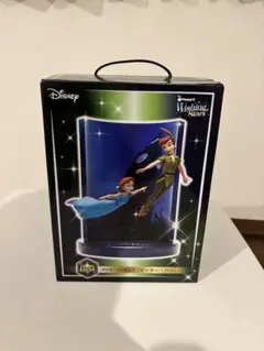 Disney Wishing Stars ピーターパン フィギュア ラストワン賞