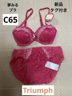 【新品タグ付き】トリンプ　ブラ&ショーツセット C65