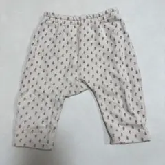 Item thumbnail for item 49404d9d-bc49-4a4d-884a-ad436709ae12