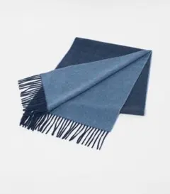 Item thumbnail for item dd7e796b-5c3d-4d4c-89f8-f5056aba6fa9