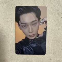 ENHYPEN THE SIN : VANISH ユニバ トレカ ソヌ 선우