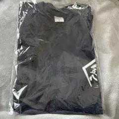 Item thumbnail for item 31eb35fa-2421-40c8-8f5d-5b01532a1d49