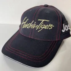 Item thumbnail for item 2b0a4744-2fd6-41d3-b854-318d91acb517