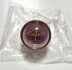 桃井愛莉 リングライト セカライ